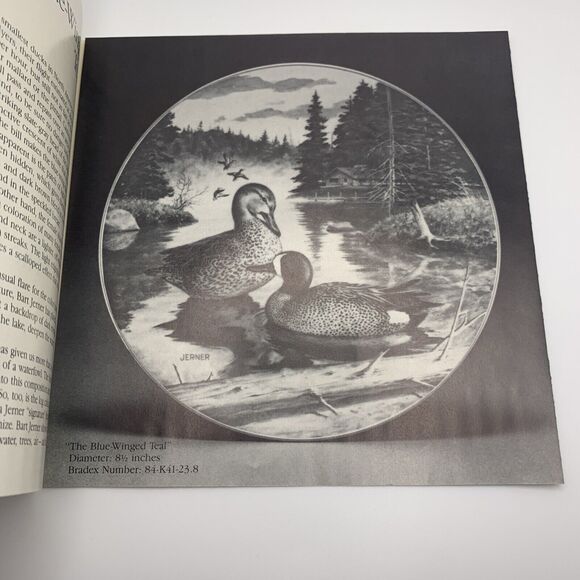 The Blue Winged Teal Plate Living With Nature Jerners Ducks Bart Jerner Knowles - Picture 8 of 9